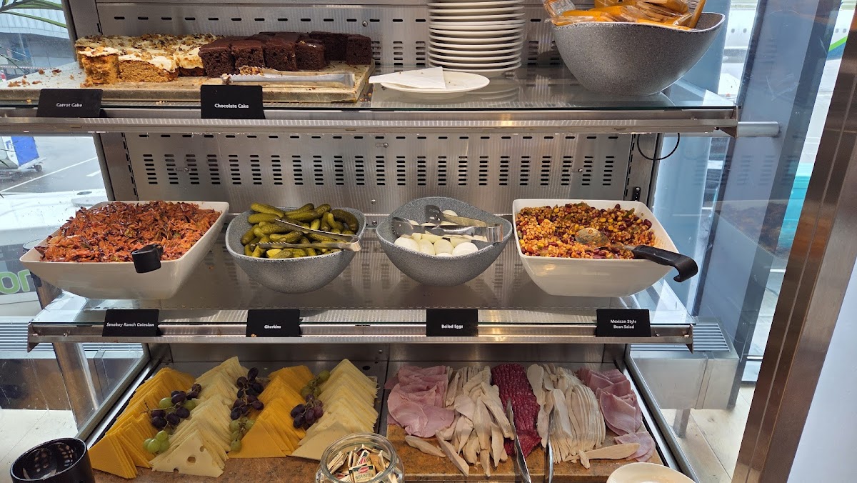 Aer Lingus Gold Circle Lounge DUB T2