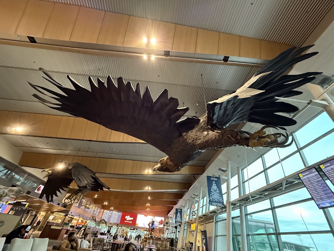 Virgin Australia Lounge WLG